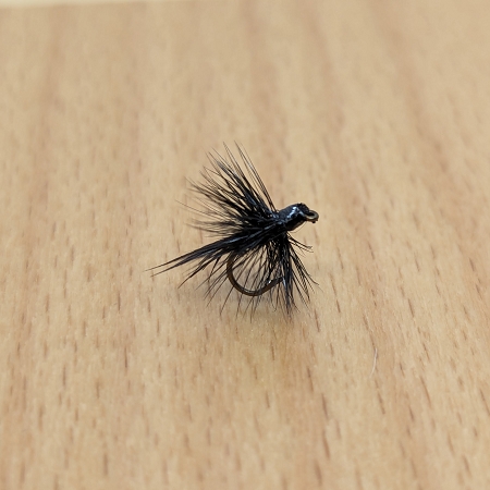Black Gnat