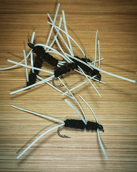Girdle Bug Fly