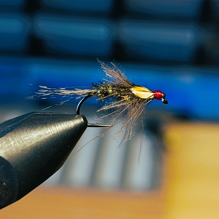The Diawl Bach