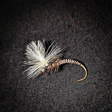 Vulgata Emerger