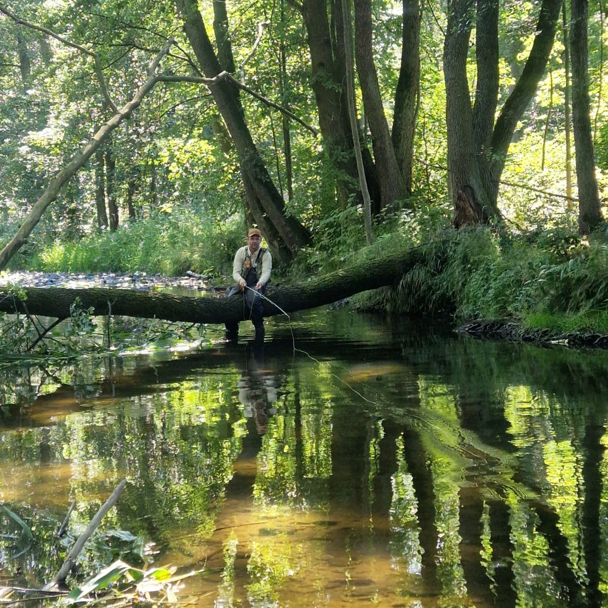 Stefan auf dem Baum
